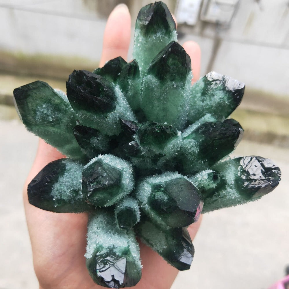 Green Ghost Phantom Natural Quartz Crystal Cluster