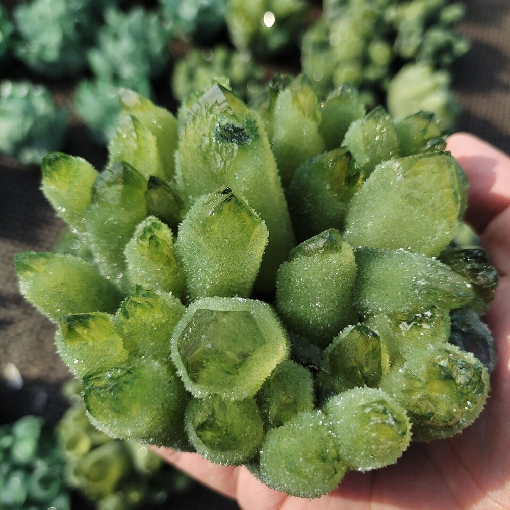 Green Ghost Phantom Natural Quartz Crystal Cluster