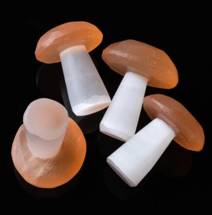 Natural Quartz Mushroom Crystal Manifestation Stone