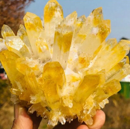 Natural Rare Yellow Phantom Quartz Crystal Cluster Specimen