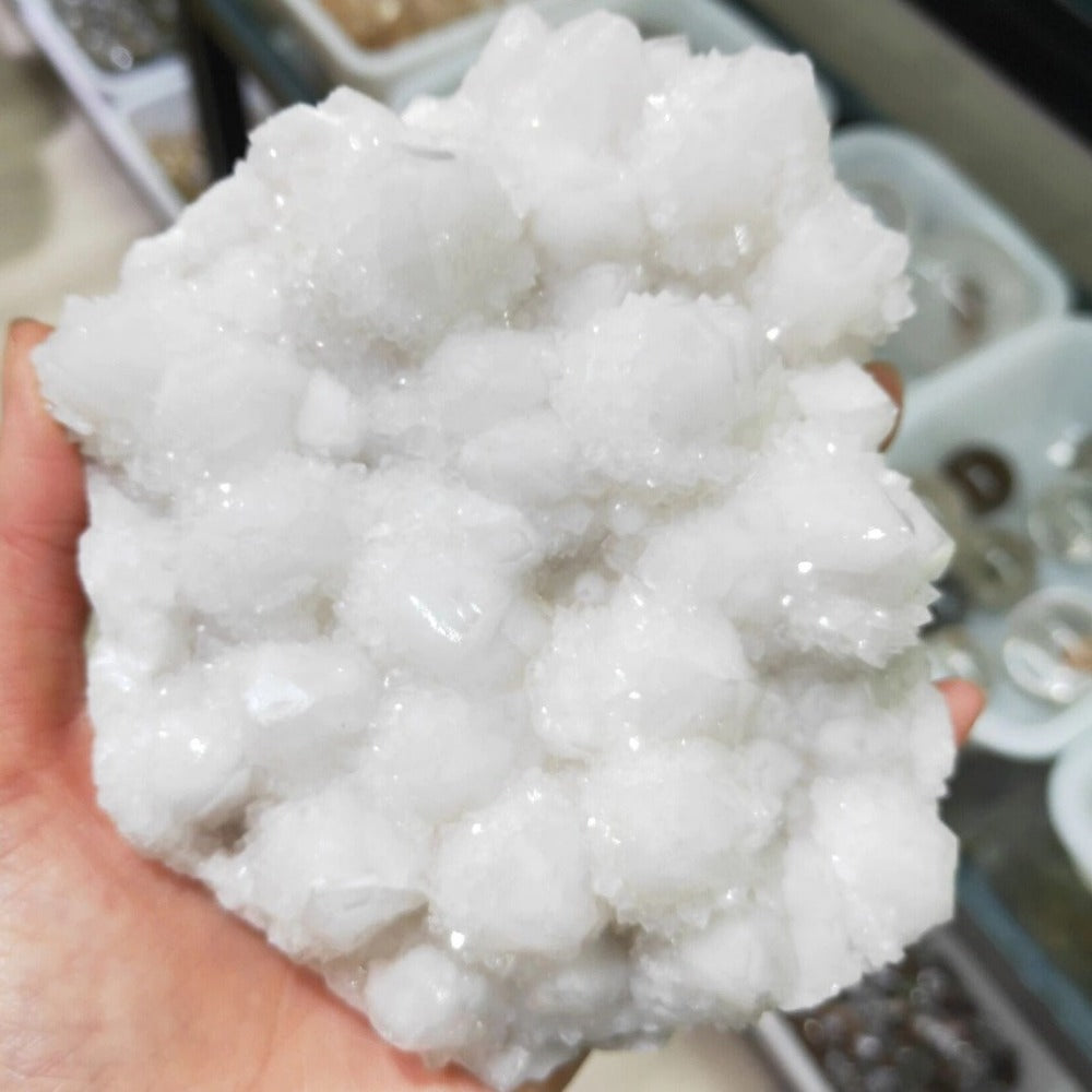 Natural White Chrysanthemum Rock Quartz Crystal Cluster