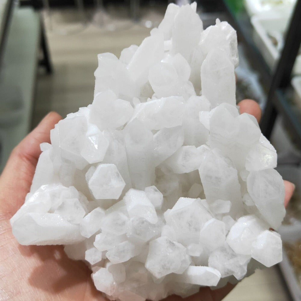 Natural White Chrysanthemum Rock Quartz Crystal Cluster